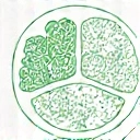 Icono de un plato de comida equilibrado, representando planes de nutrición personalizados.